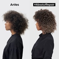 Imagen de Máscara Absolut Repair - 250 ml